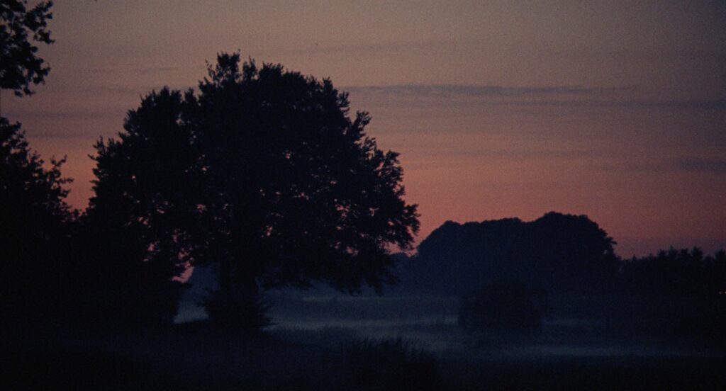 Silhouette of a large tree in a misty rural landscape beneath a purple and orange evening sky.