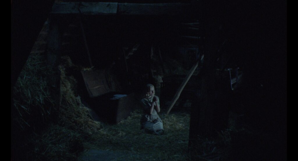 Young woman standing alone in a dark timber-framed attic illuminated by cold blue light.