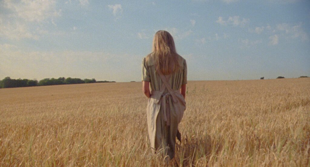 Young woman seen from behind walking through a golden wheat field beneath a pale blue sky.